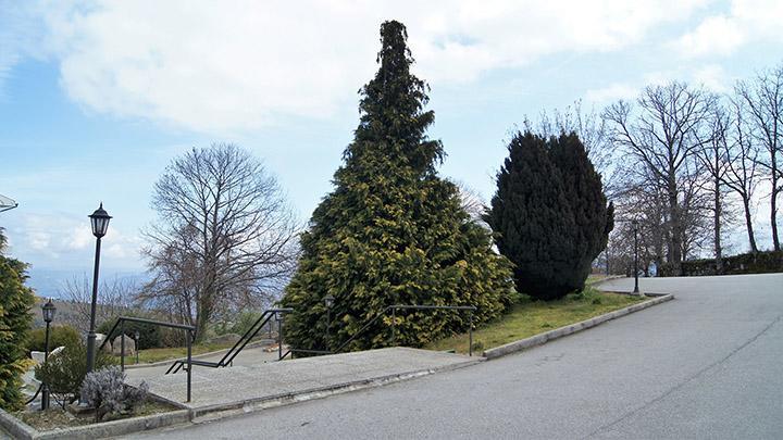 Kolping House Bed and Breakfast Lamego Esterno foto